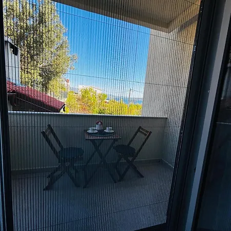 Modern Marko In Just 230 M From The